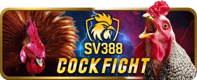 3D Slot cwin555 nhà cái